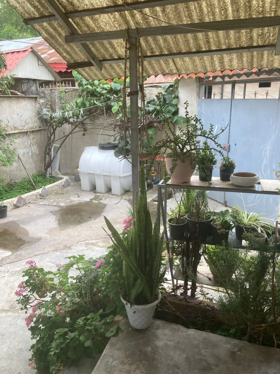 فروش خانه ومغازه