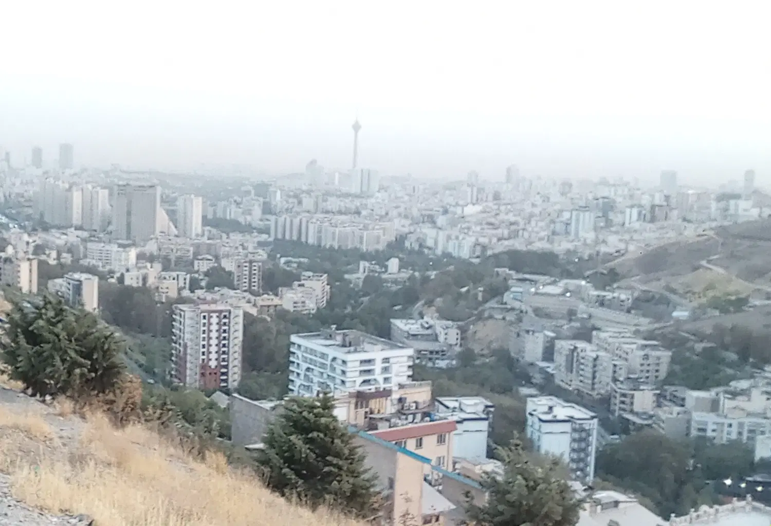 همخونه میشم