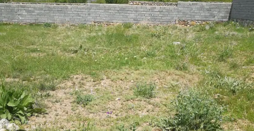 زمین در شهرارا