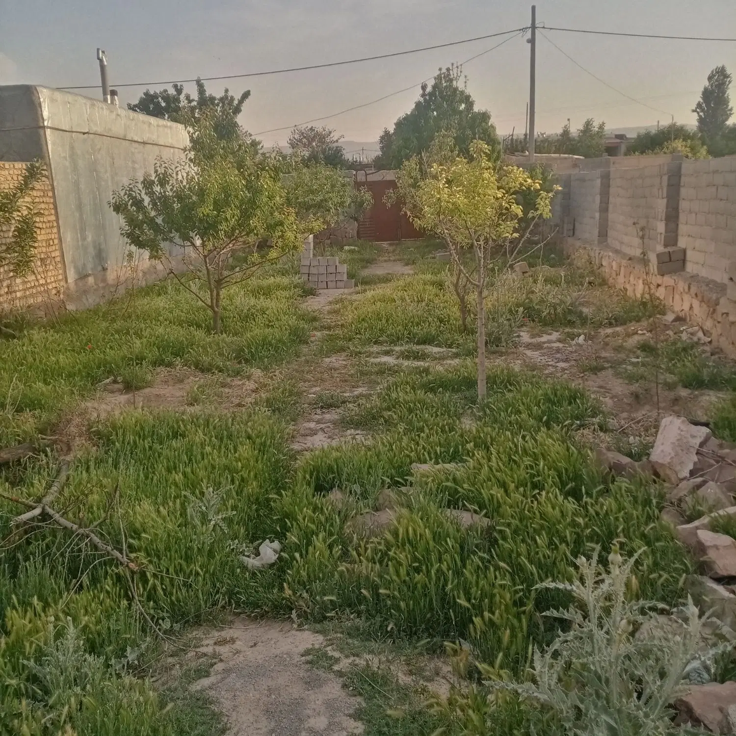 باغ روستای