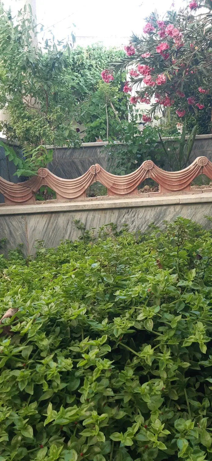 رهن و اجاره