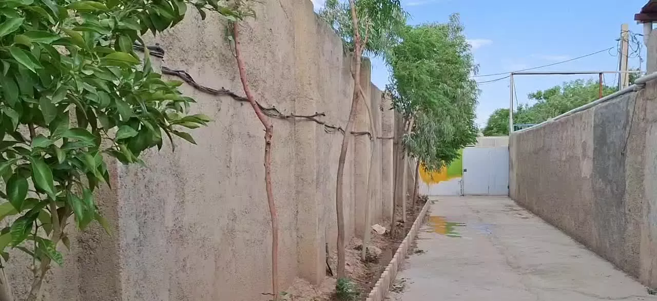 فروش سوله