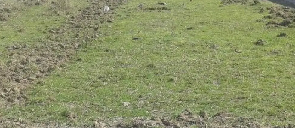 زمین تجاری مسکونی