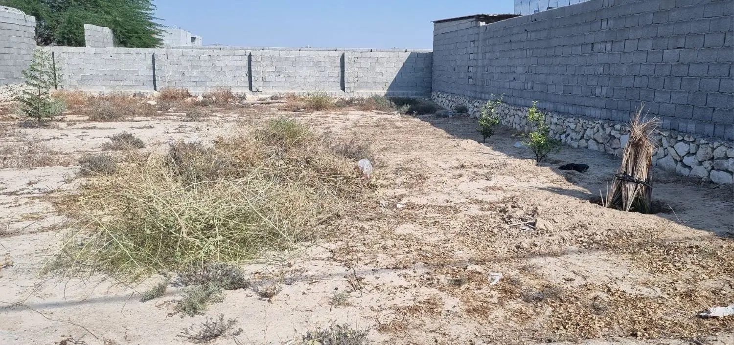 مسکونی پهلوانکشی