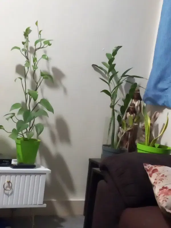 رهن و اجاره اپارتمان