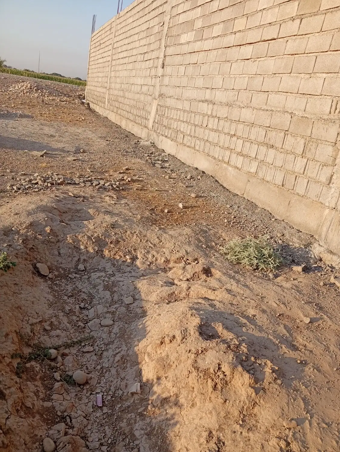 زمین