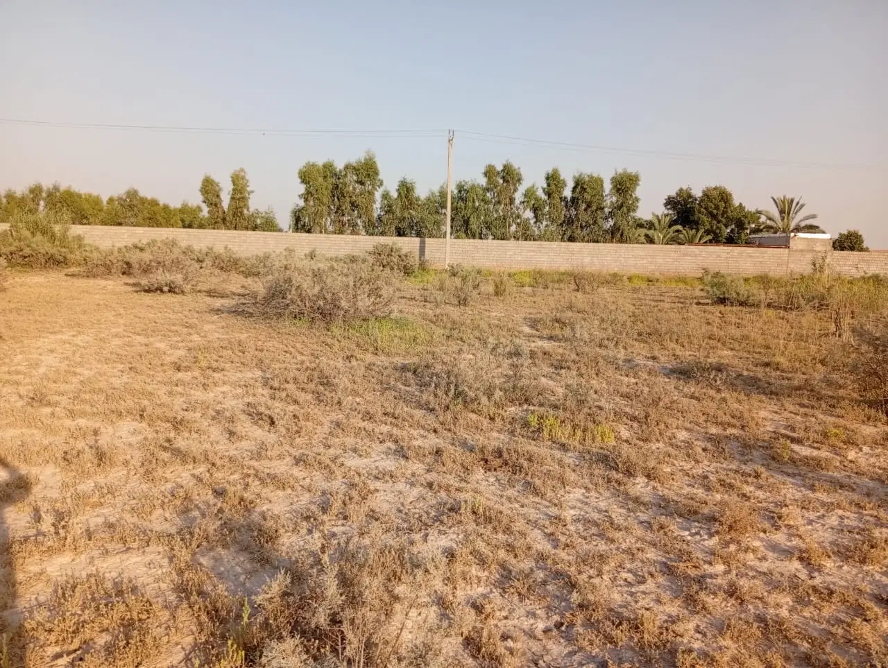 زمین برای ساخت وساز
