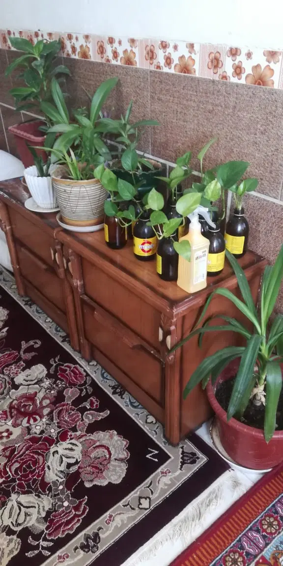 رهن و اجاره واحد مسکونی طبقه دوم