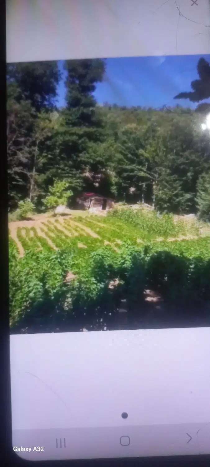 زمین باغی فروشی