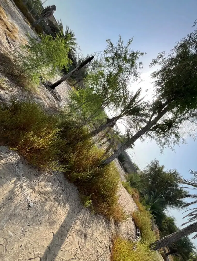 زمین فروشی