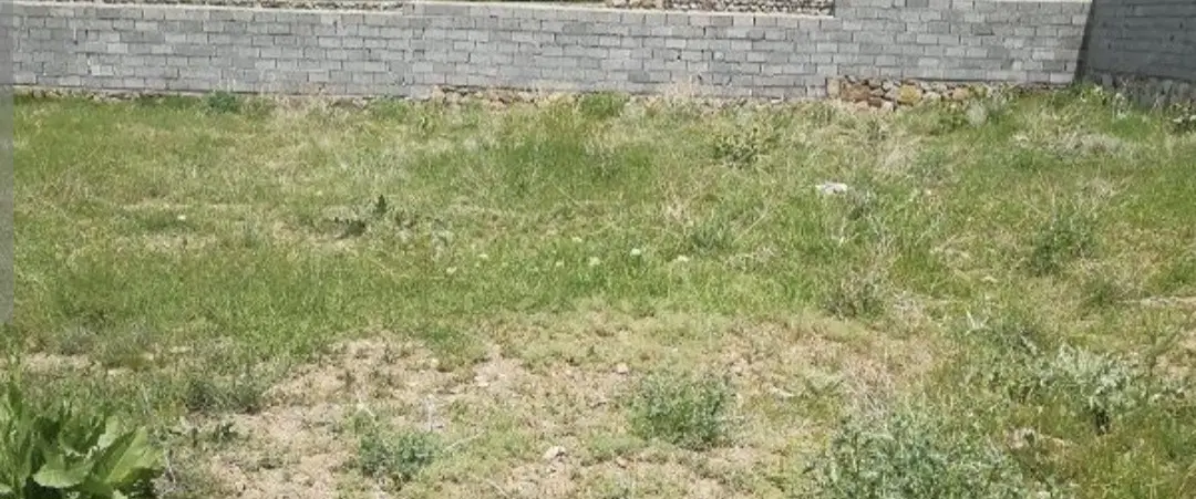 فروش زمین