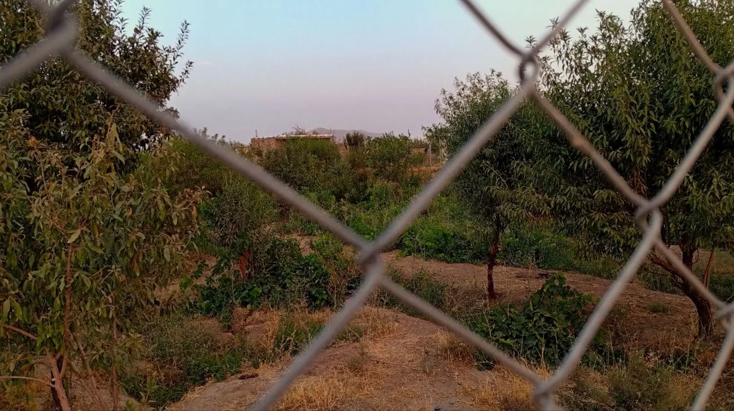 فروش باغ