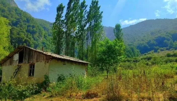 مشاور املاک پالم روستای زیارت
