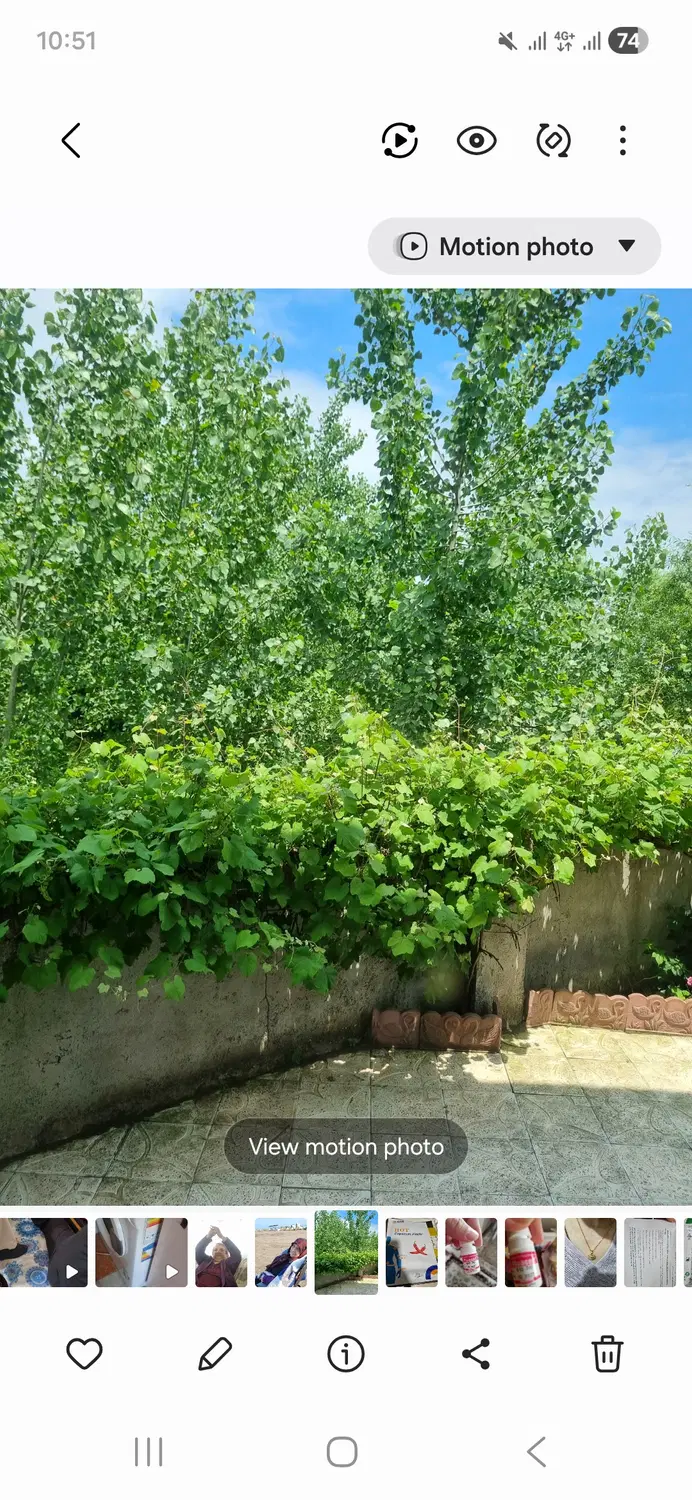 یک قواره زمین ۱۵۰ متری