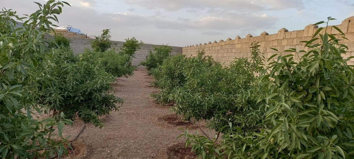 باغچه ۵۰۰ متری اول جلال آباد