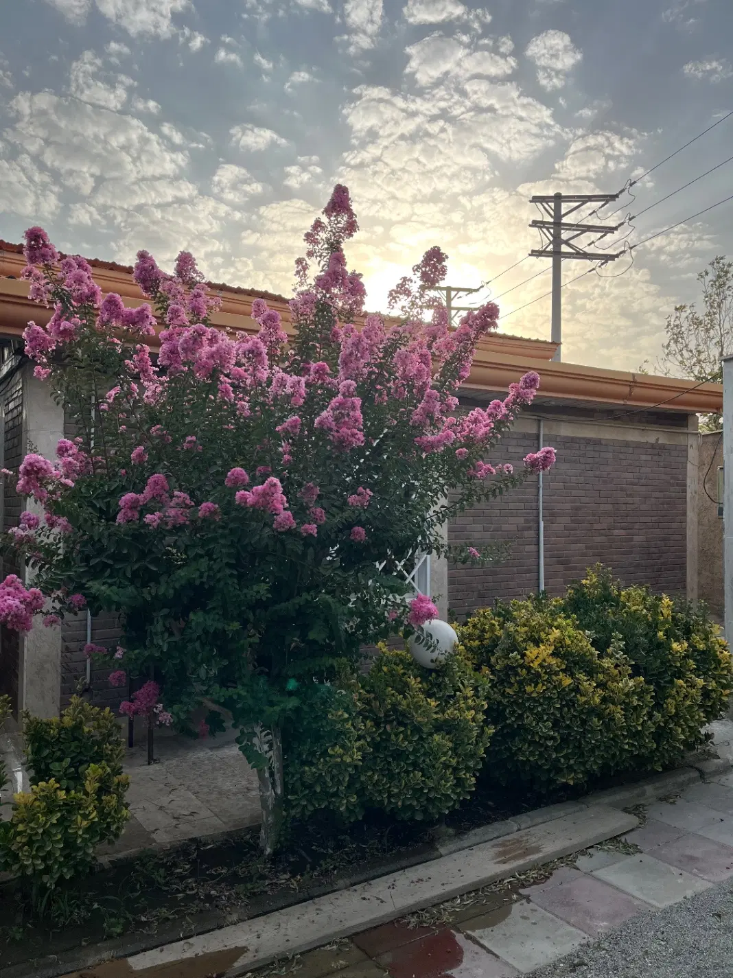 اجاره باغ ویلا به صورت روزانه