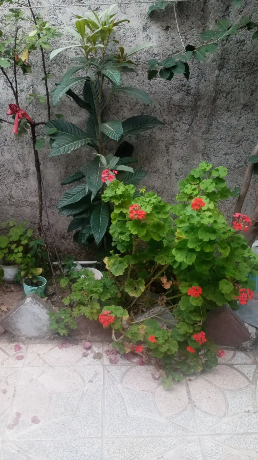 خونه ویلایی
