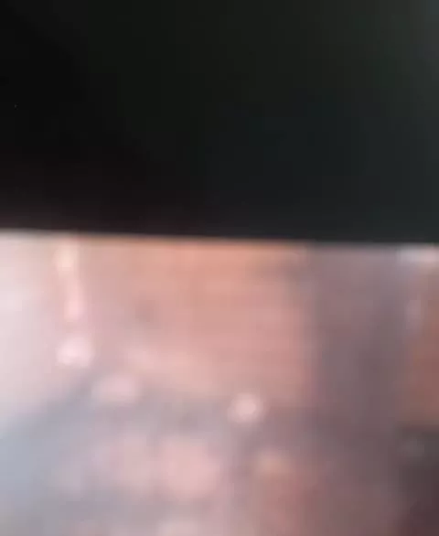 پیش فروش
