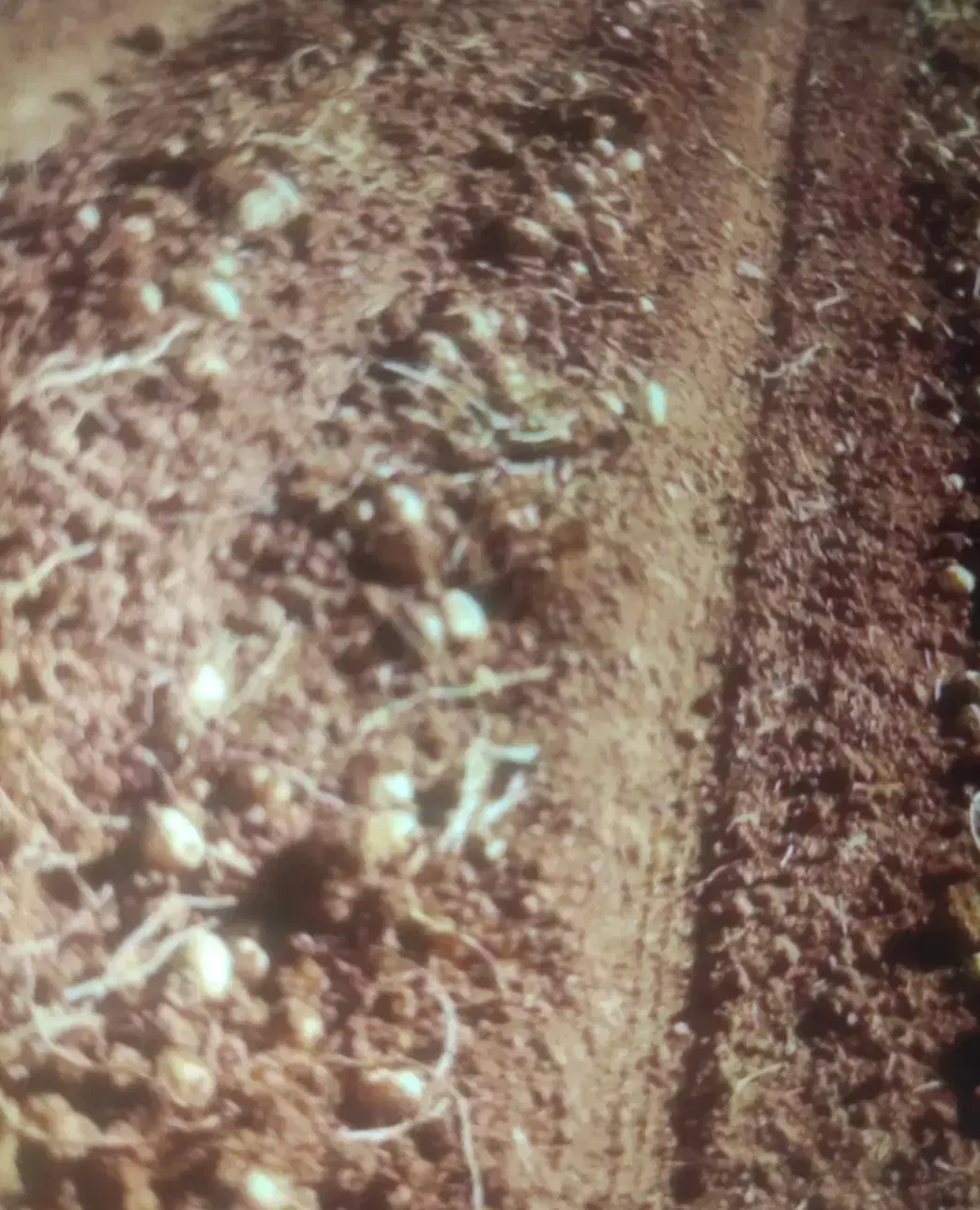 فروش زمین روستای دوستوندطرح هادی