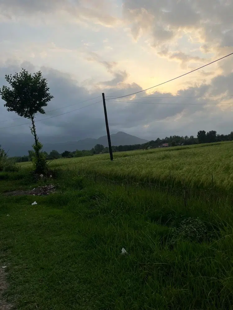 ۲۵۰ متر مسکونی منظره بی‌نظیر