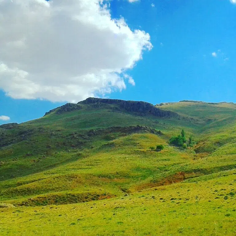 معاوضه زمین