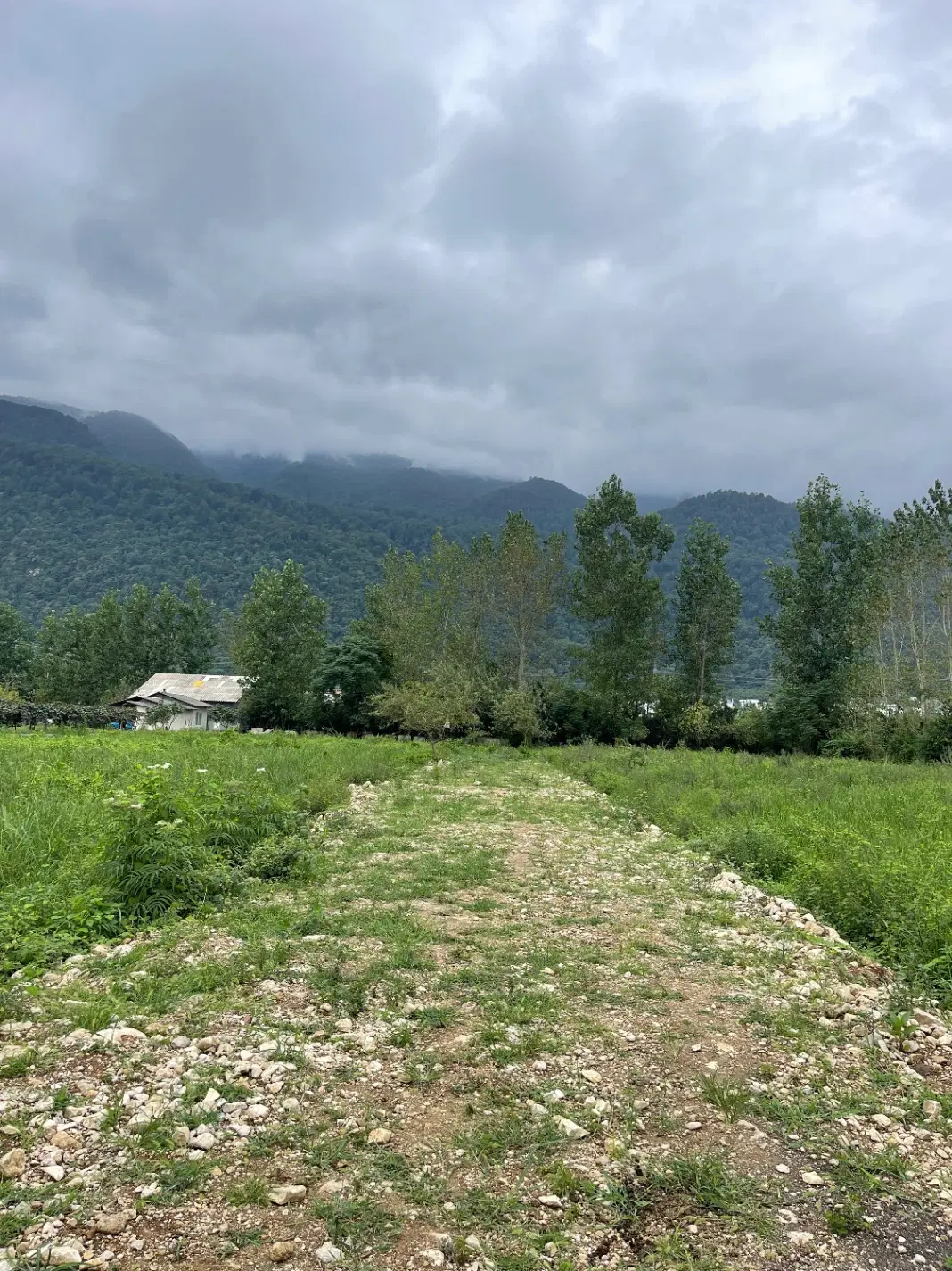 ۳۰۰متر مجاور هیرکانی مالکم فروش فوری