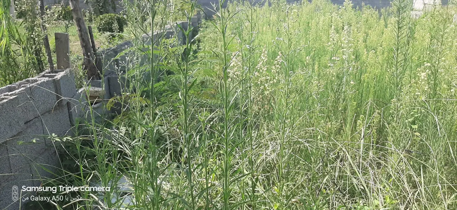 فروش زمین مسکونی