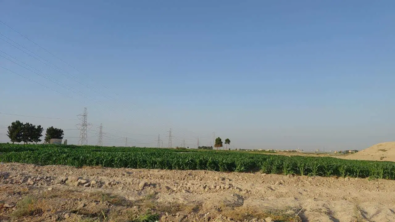 فروش 5000 متر زمین زراعی دارای سند تک برگ