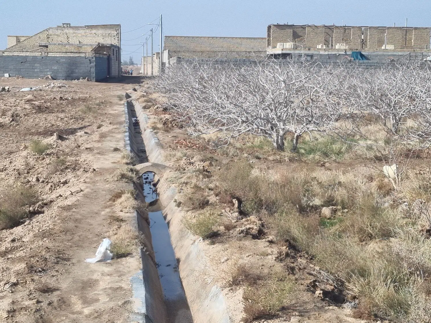 فروش زمین کشاورزی حسن اباد  وفروش زمین پهنه دام