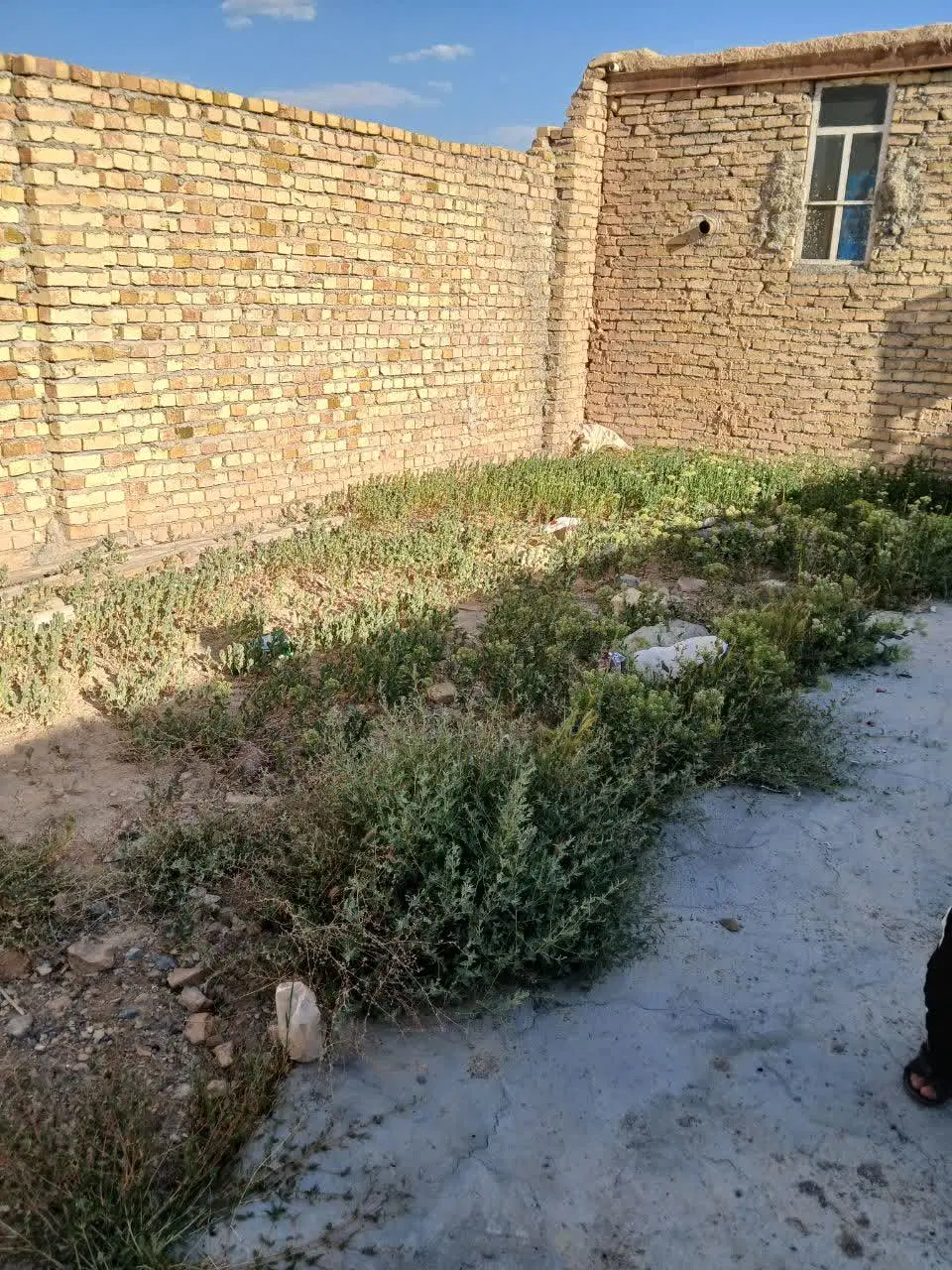 زمین فروشی