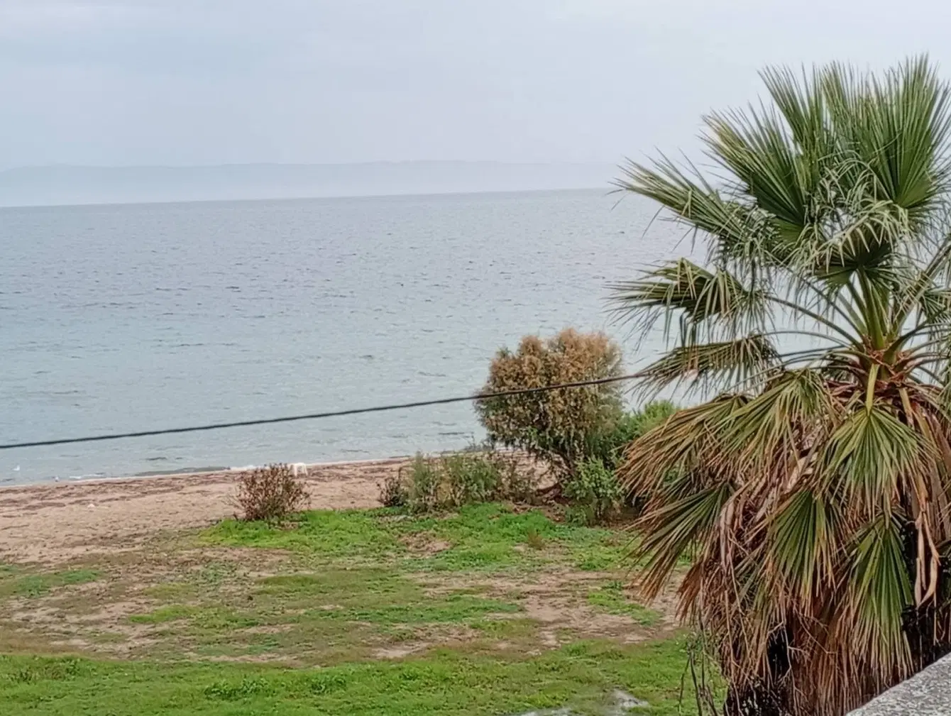 زمین کنار دریا