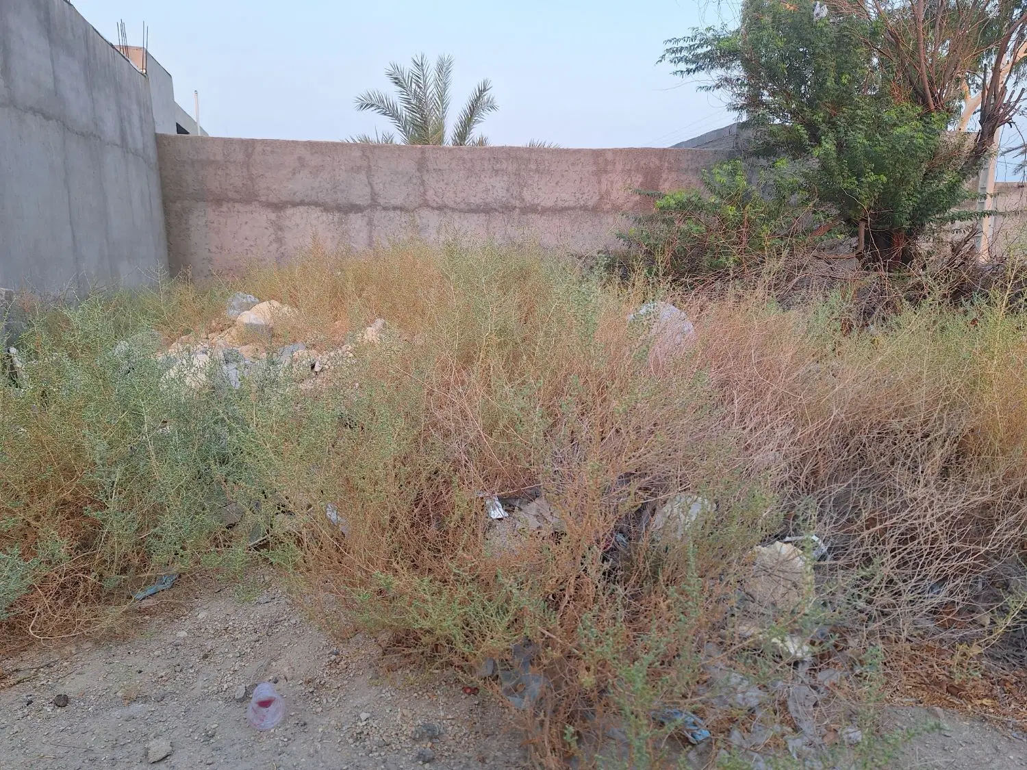 فروش زمین  ۲۱۶ متری  الی شمالی