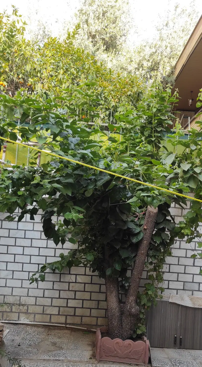 خانه ویلایی مطهری