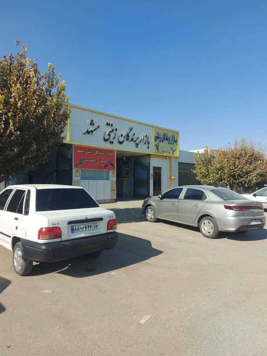 مغازه    ۴۰ متری