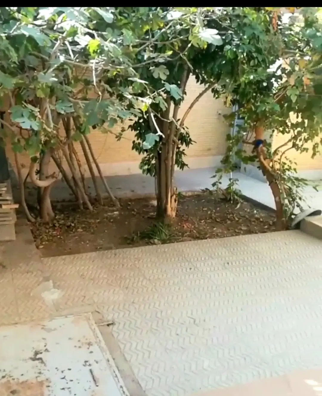 خانه ۱۷۰ متر بلوار نواب کوچه مهدیه