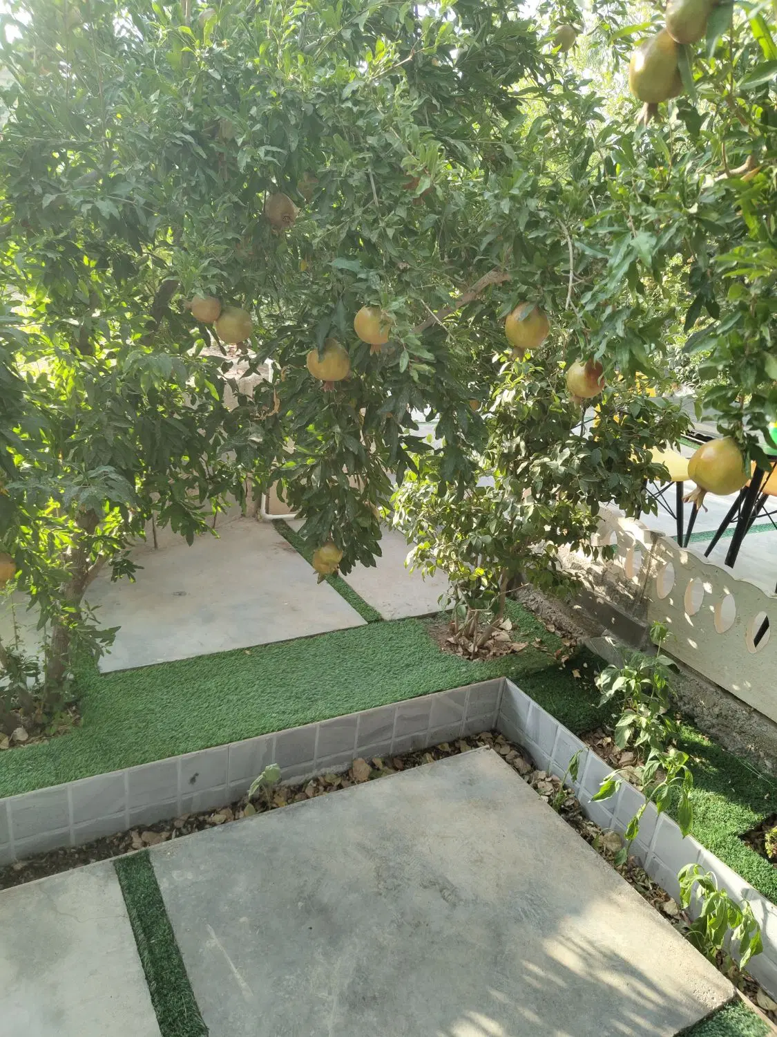 زمین ویلایی در ساوه