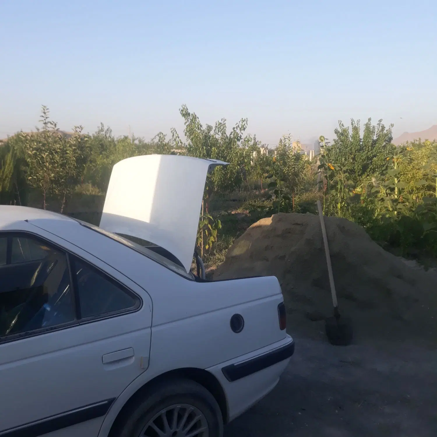 باغچه الوان شورکند کوی بهارستان