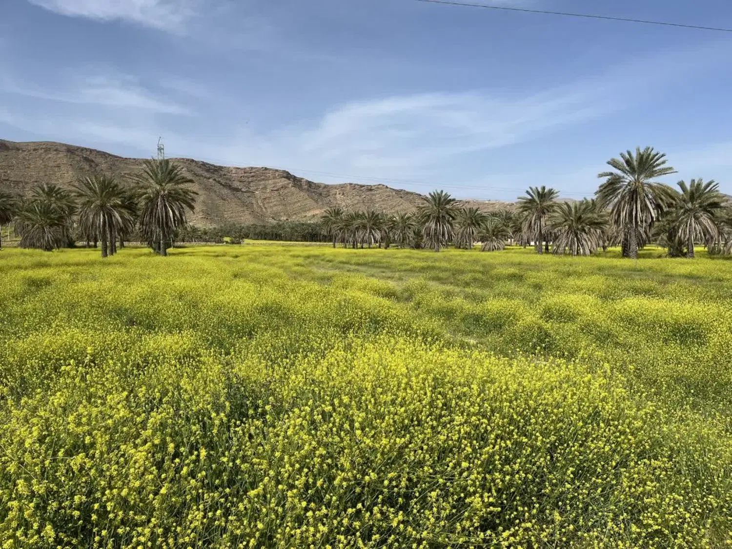 زمین فروشی 58متر مربع مناسب برای ساخت مغازه