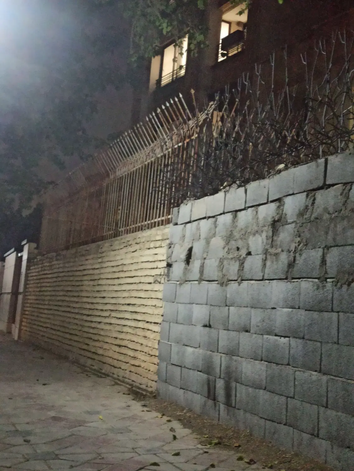 هم خانه بی حاشیه
