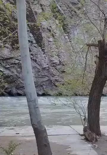 ۵۰۰ متر زمین دو کله  بر رودخانه کرج