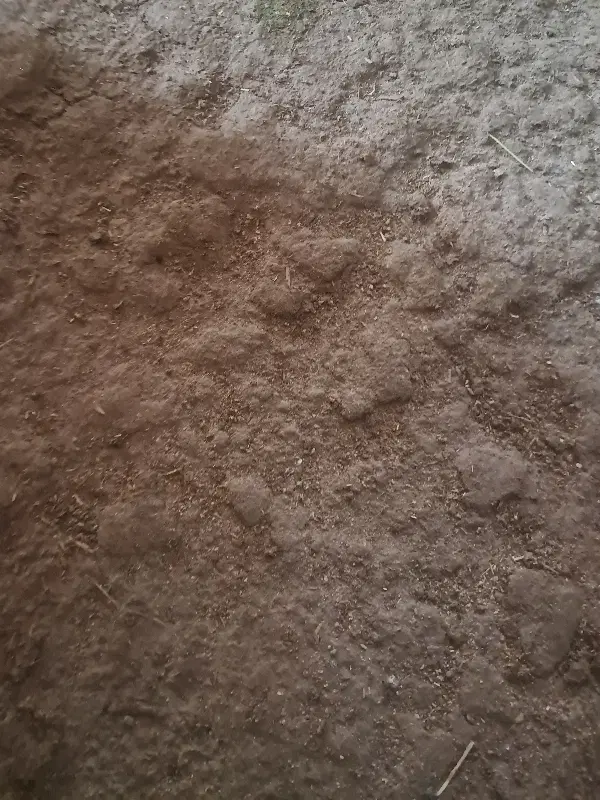 زمین بلوار پاستور