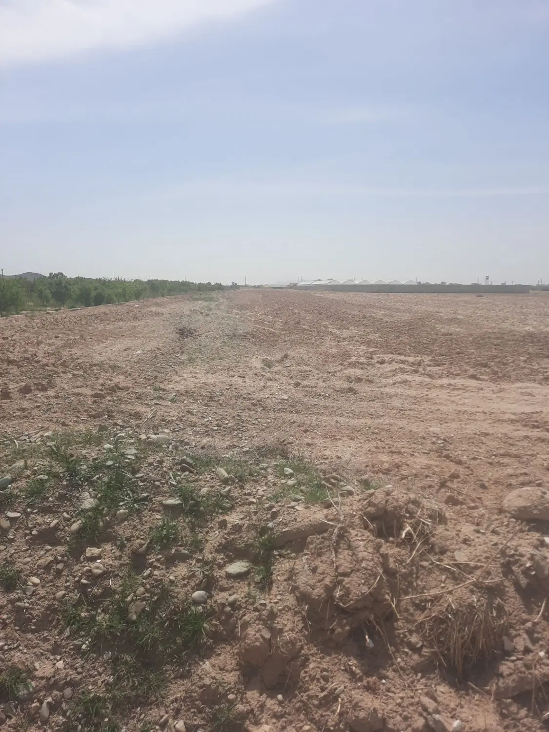 زمین ، باغ ، گلخانه