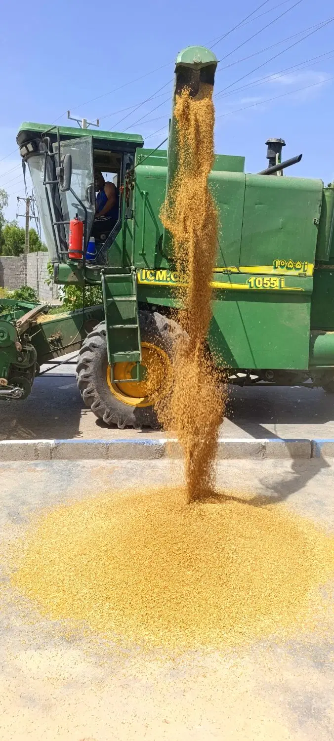 زمین کشاورزی