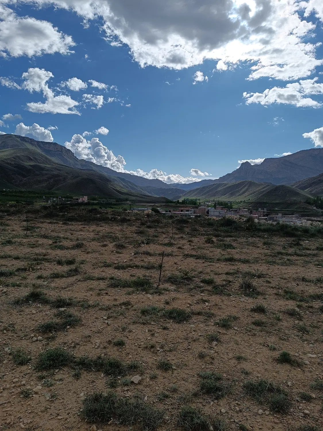 قطعه زمین زراعی و باغ