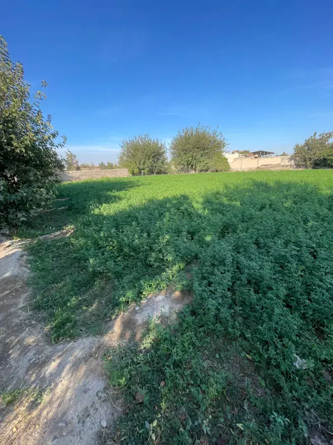 فیلستان الوئک گلزار