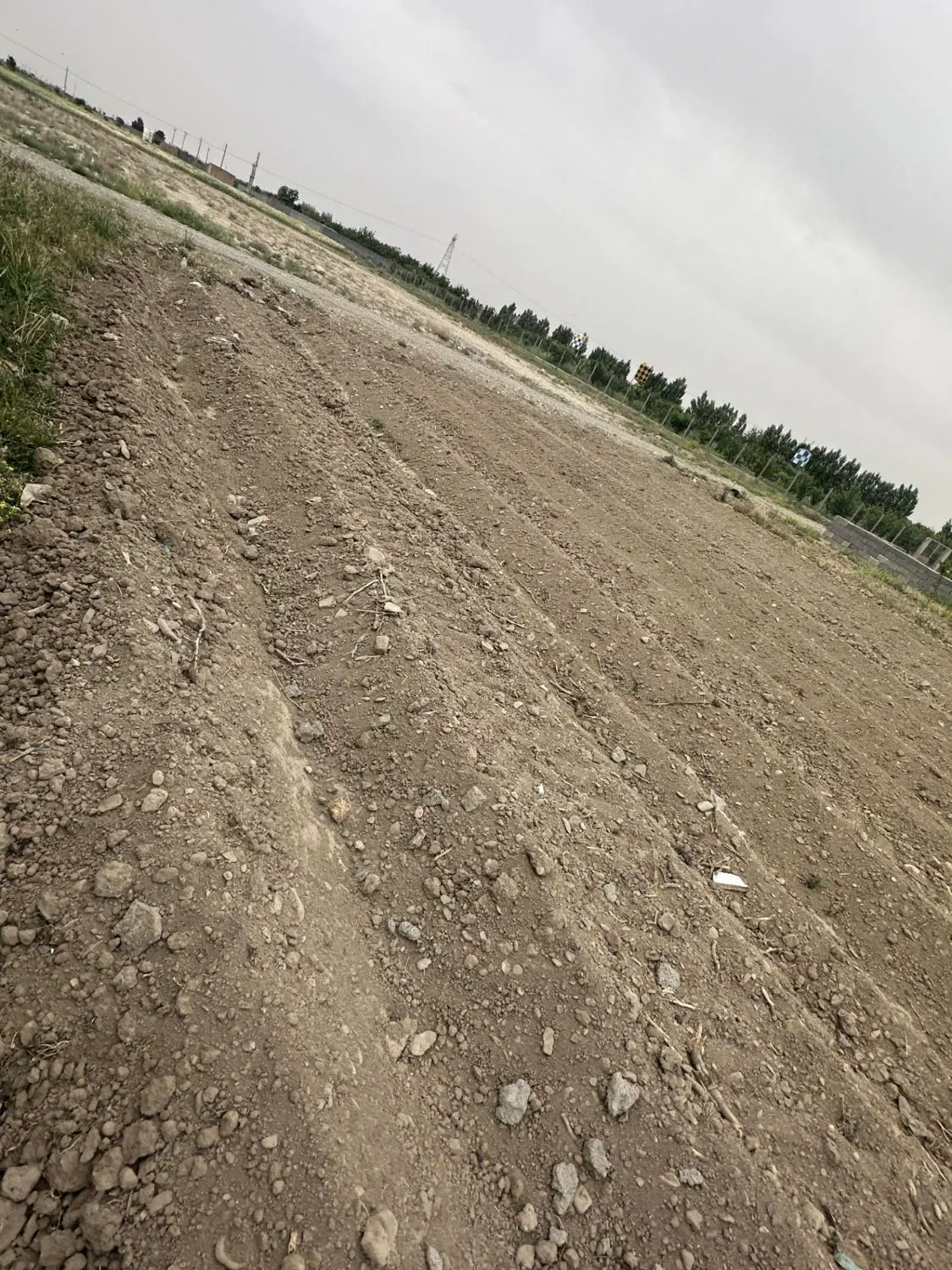 زمین باغی