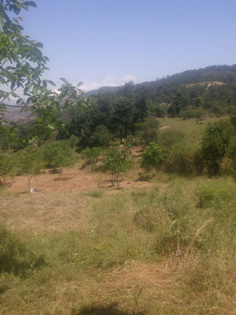 زمین روستای ملچ آرام