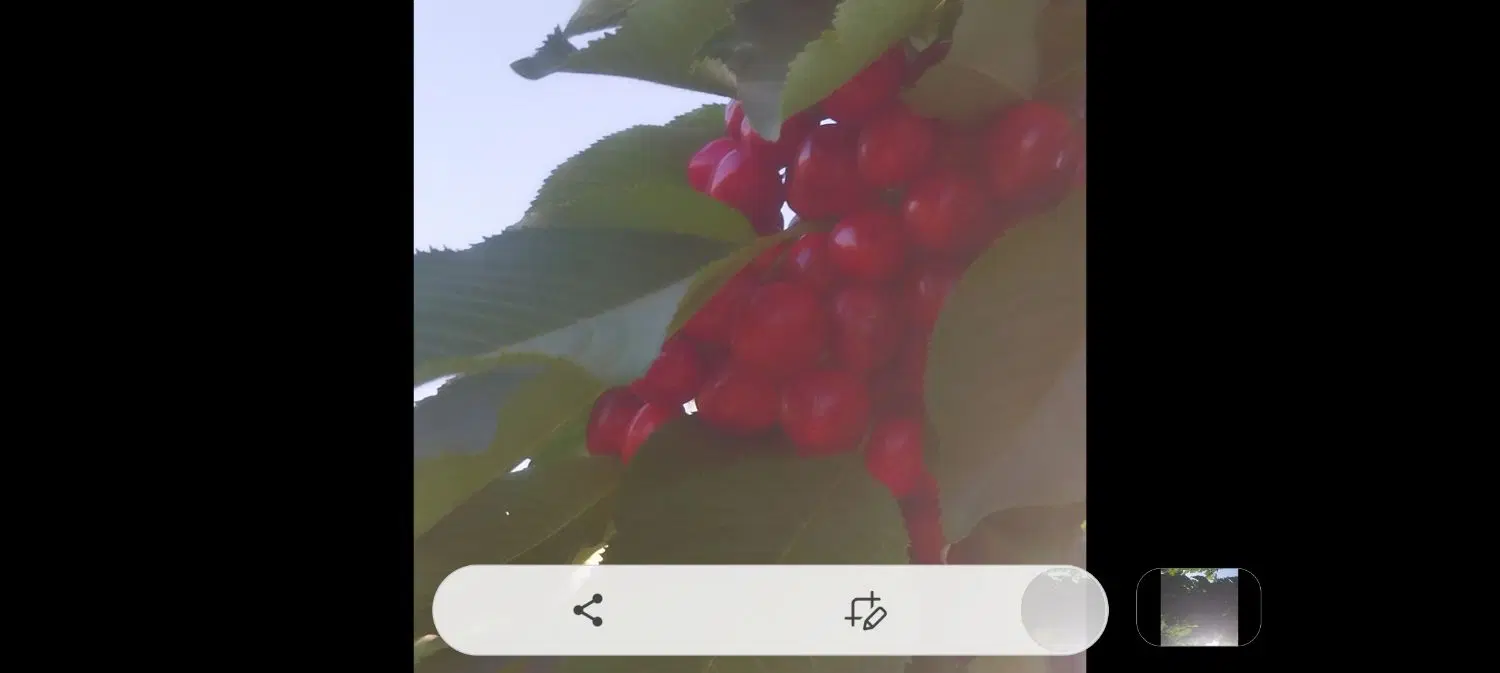 باغ