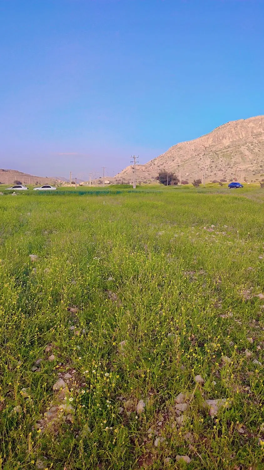 فروش ۵هزار متر زمین روی اتوبان اصلی قیمت مناسب
