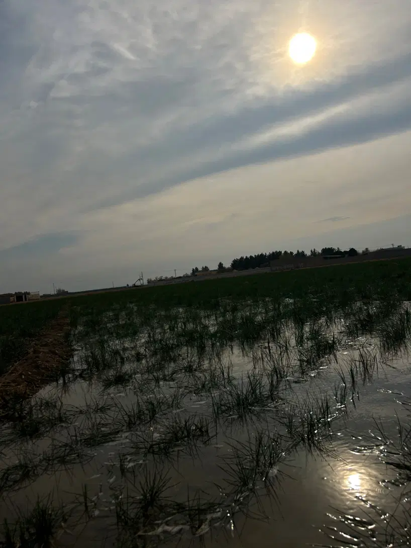 ۵۰۰ متر زمین شاهنامه ۶۷ زیرفی شکار